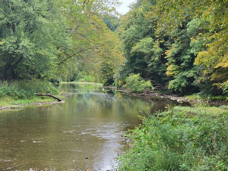 A Peaceful Escape That Feels Miles From Everything