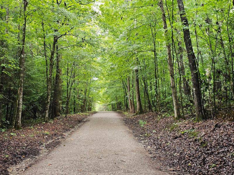 A Peaceful Sparta Escape That Belongs On Every Tennessee Bucket List A Peaceful Sparta Escape That Belongs On Every Tennessee Bucket List