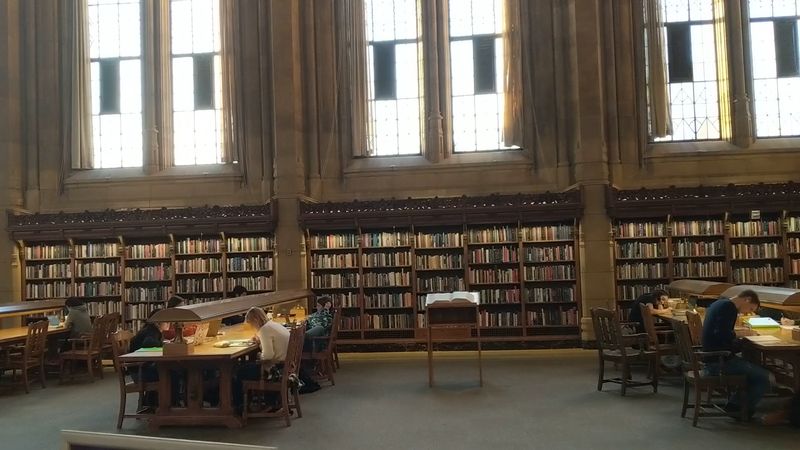 A Public Library Experience Inside a University Landmark