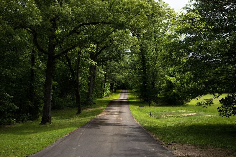 A Quiet Tennessee Town Where History Still Feels Alive