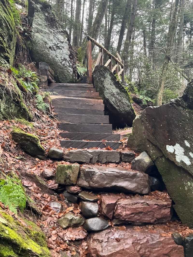 A Quiet Trail in Hardwick That Feels Miles Away From Stress