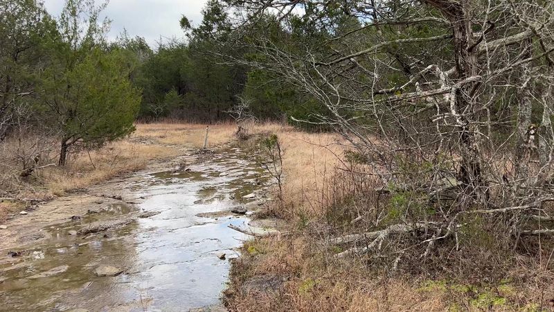 A Rare Natural Area Filled With Rocky Glades, Wildflowers, and Open Barrens A Rare Natural Area Filled With Rocky Glades, Wildflowers, and Open Barrens