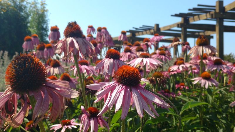 A Scenic Drive to a Hidden Michigan Gem