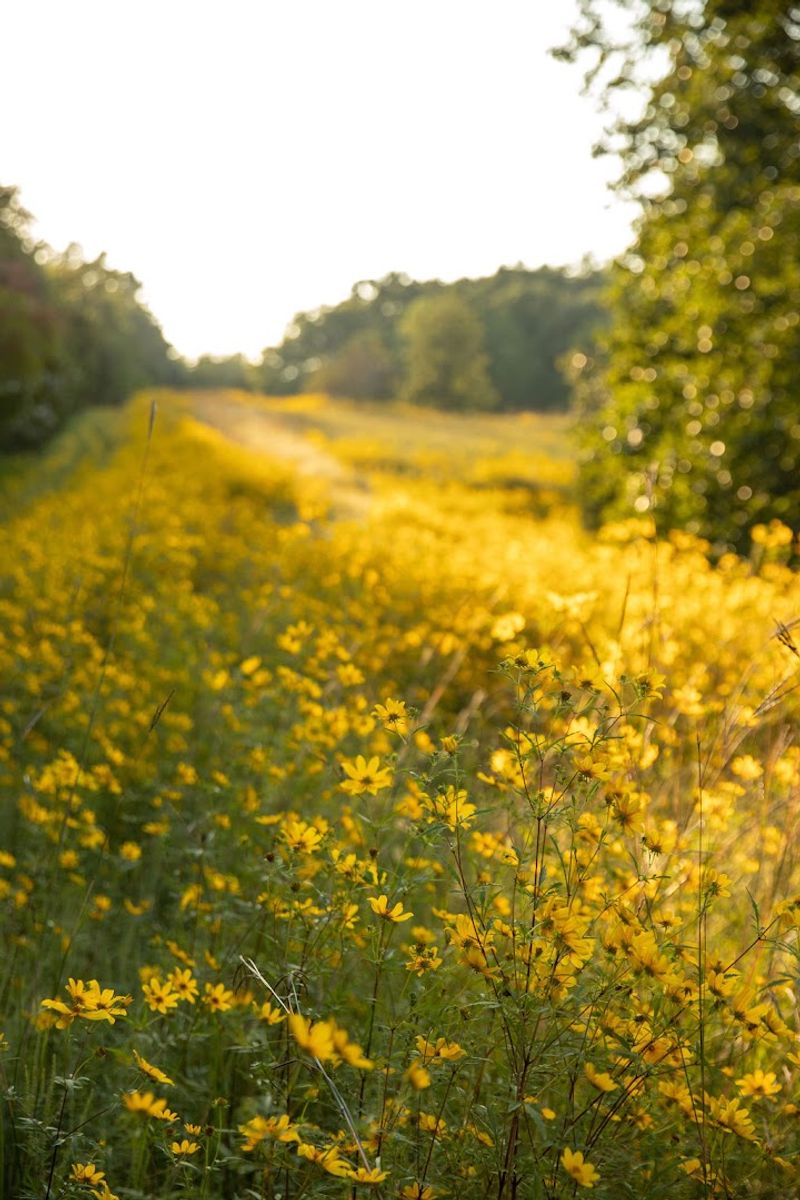 A Scenic Slice of Rural Tennessee