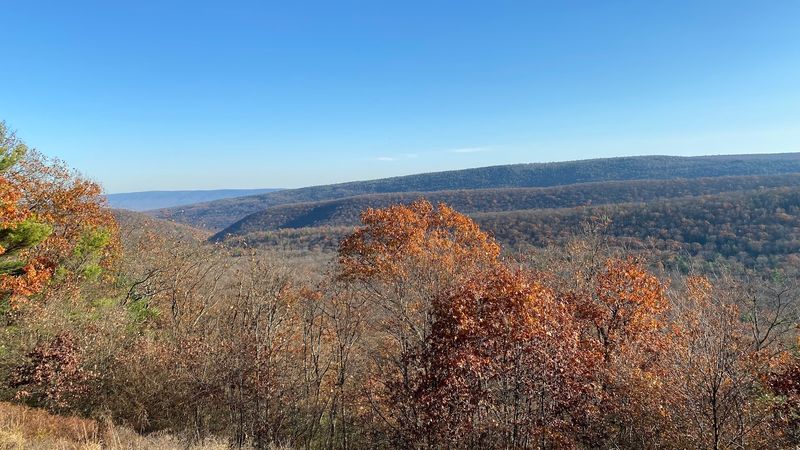 A Vast Forest Escape In Central Pennsylvania A Vast Forest Escape In Central Pennsylvania