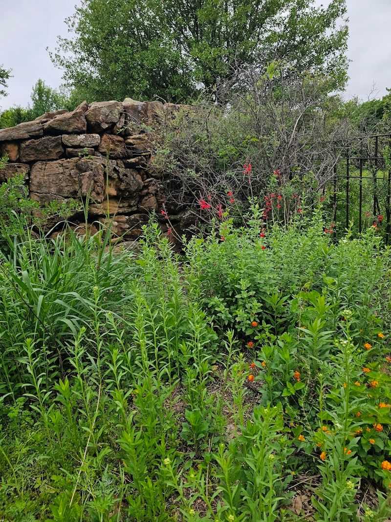 A Volunteer Labor of Love That Shows
