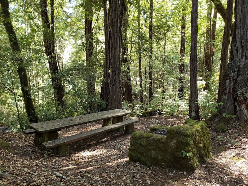 A campground made for disconnecting