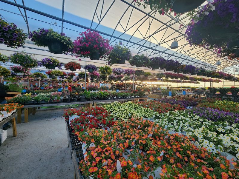A farm market packed with bakery treats and local flavor