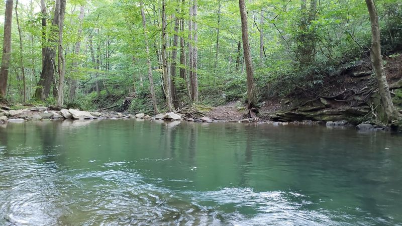A forest swimming hole that feels like a discovery A forest swimming hole that feels like a discovery