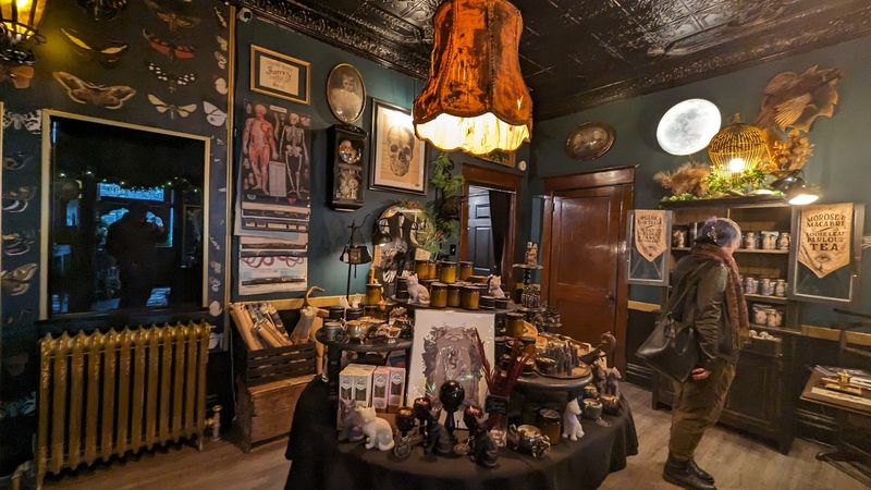 A gift shop for macabre tastes and uncommon finds
