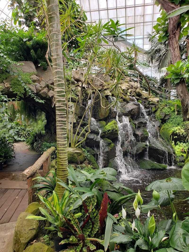 A greenhouse that feels like a tropical getaway