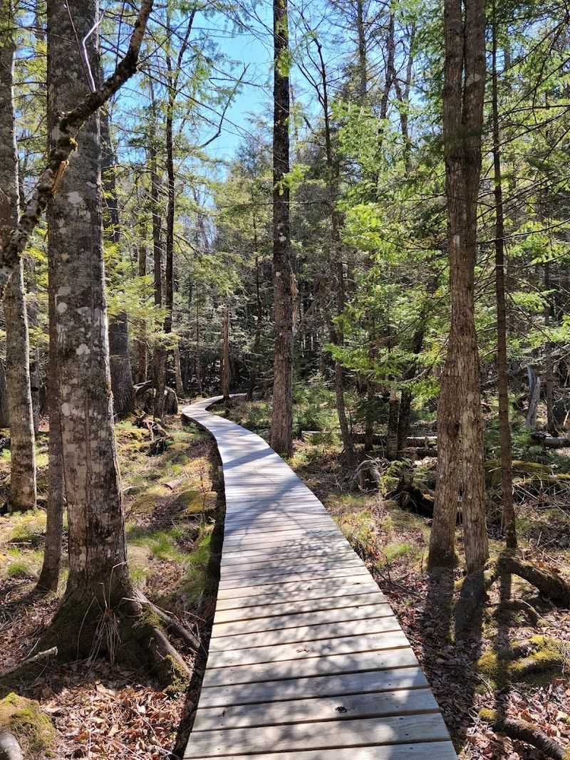 A hidden-in-town trail that feels like an escape