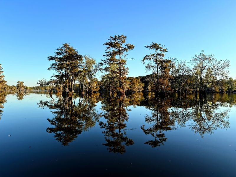 A lake-centered landscape that feels quietly spectacular