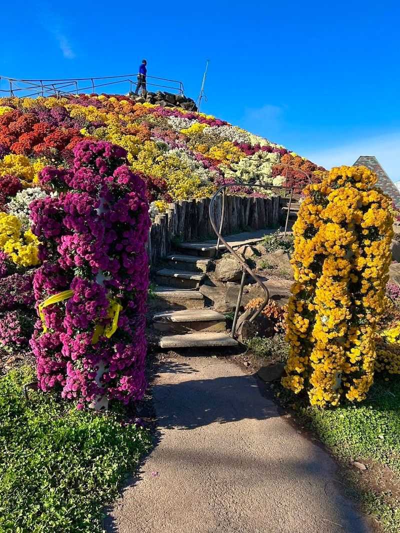 A photo-worthy destination with no admission fee