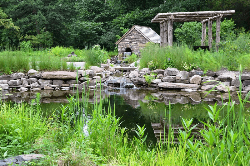 A preserve filled with native Pennsylvania beauty