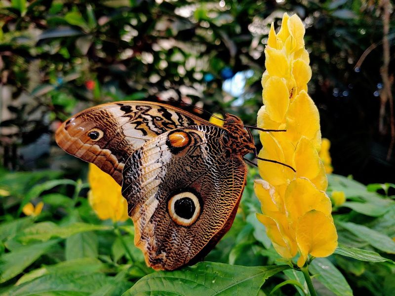 A surprisingly good place for close-up photos