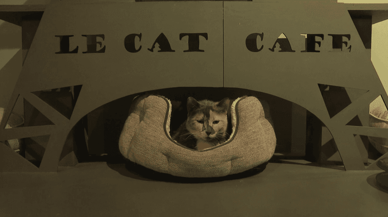 A visit that supports real rescue work