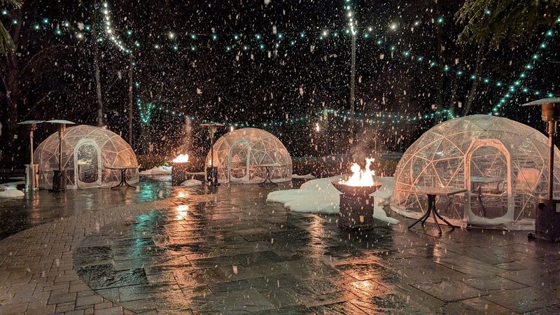 A winter igloo dinner beside the creek