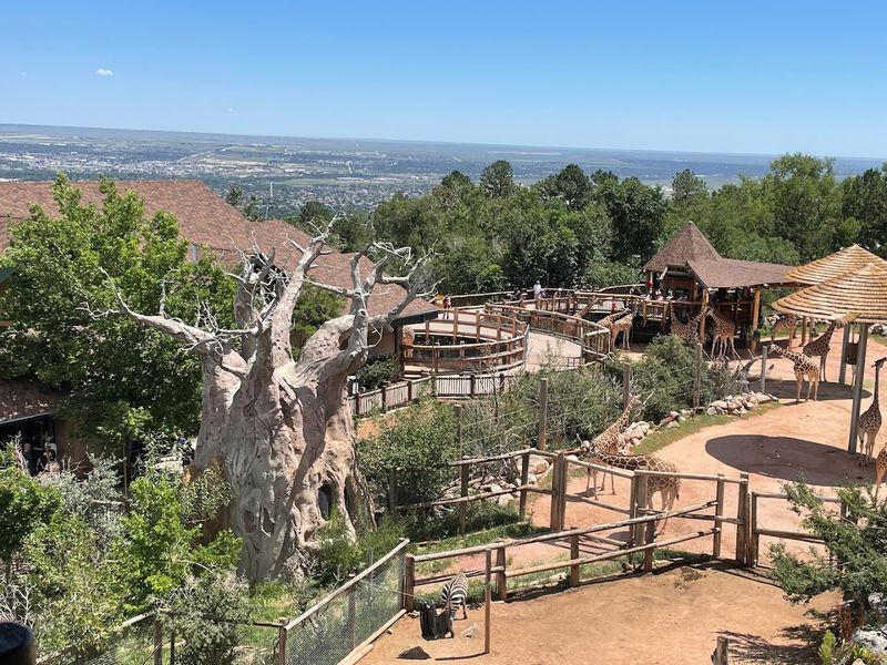 A zoo built right into the mountainside A zoo built right into the mountainside