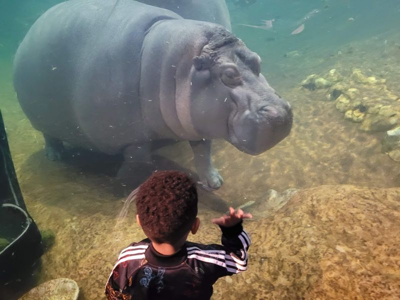 Adventure Aquarium - Camden Adventure Aquarium - Camden