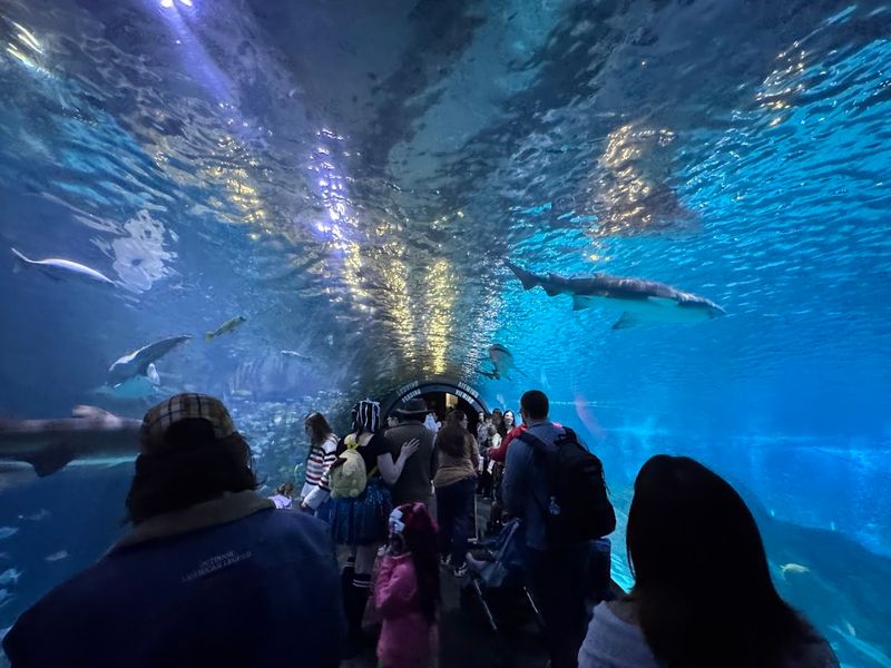 Adventure Aquarium in Camden