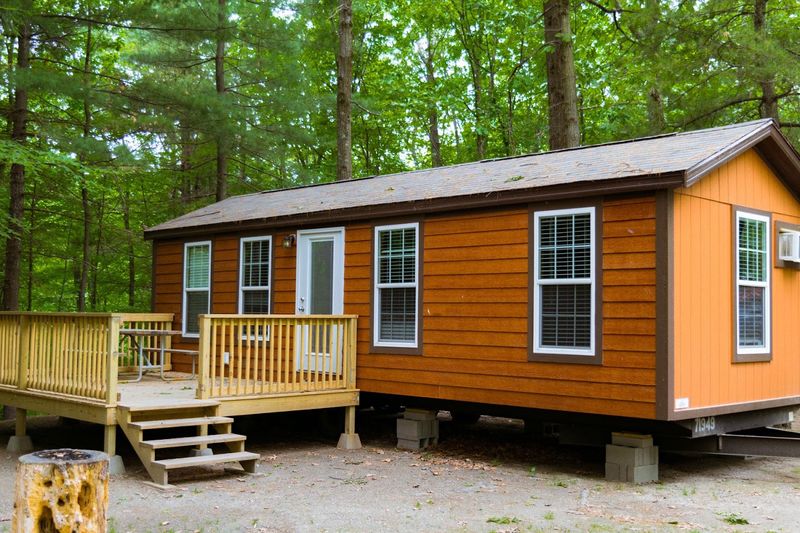 Adventure Bound Tall Pines — Elmer