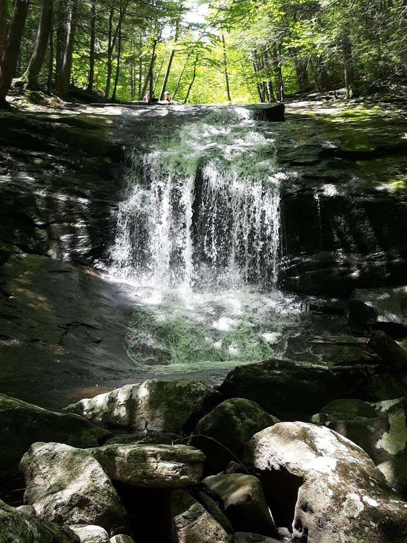 Chapel Brook Reservation (Ashfield)