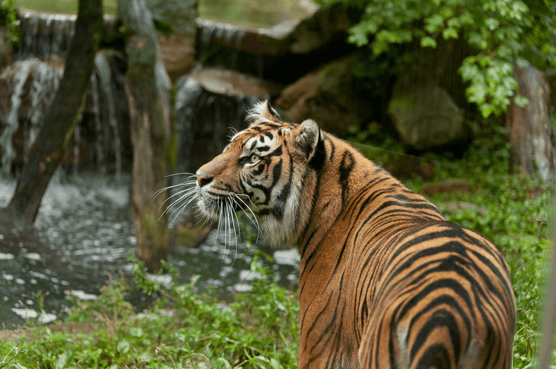 Akron Zoo (Akron)