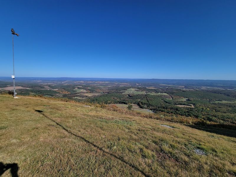 Allegheny Front Hawk Watch (Somerset County)