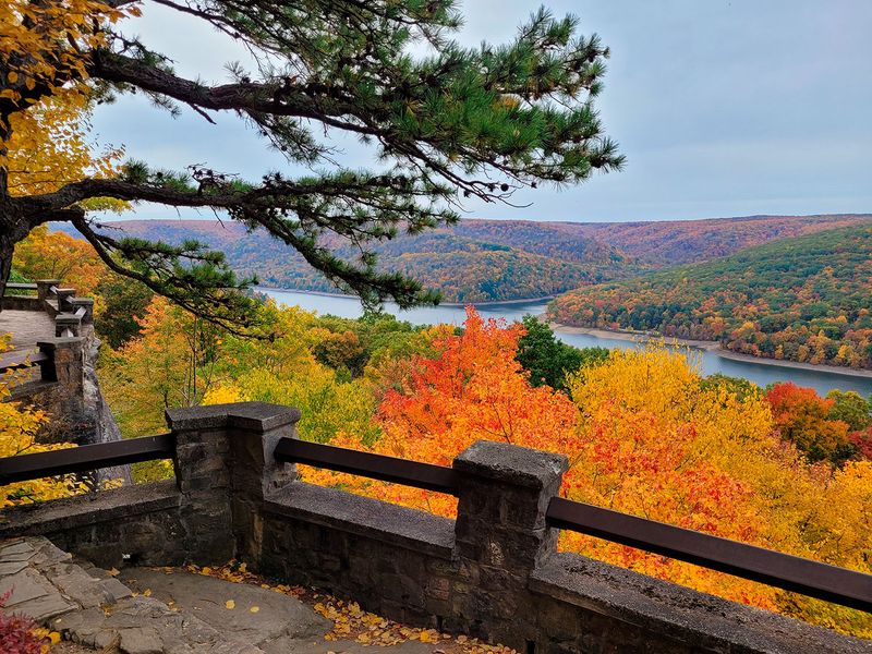 Allegheny National Forest