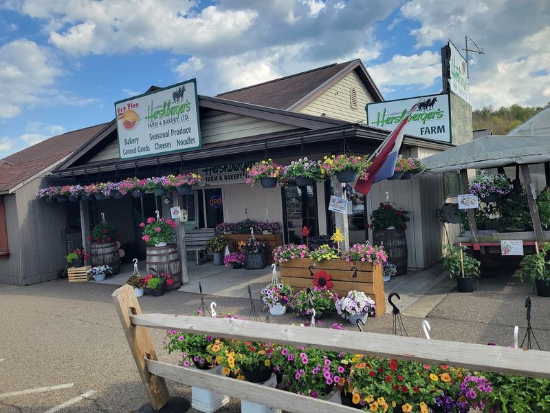 Amish Country Store, Ethridge