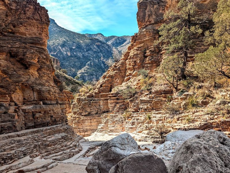 An Ancient Ocean Reef Frozen in Time