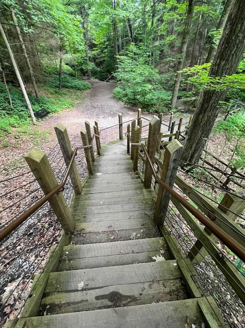 An Easy Adventure For Many Visitors