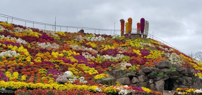 An impressive selection of exotic and rare plants