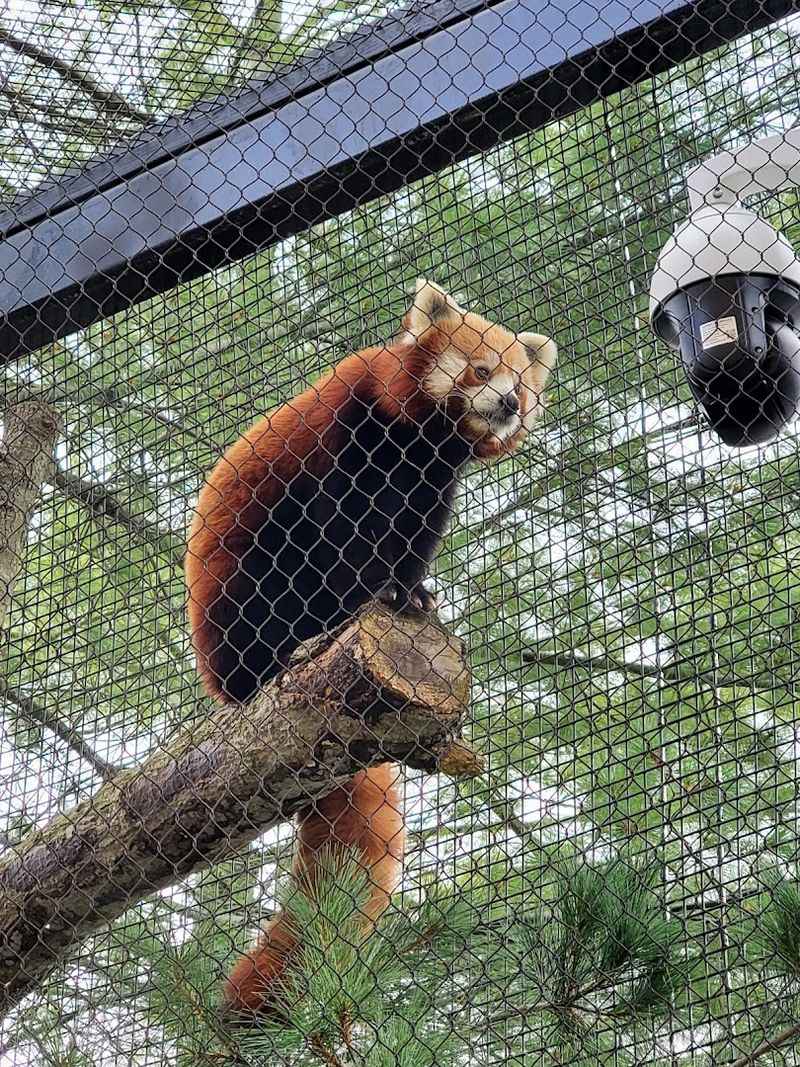 Animal Encounters That Feel Personal
