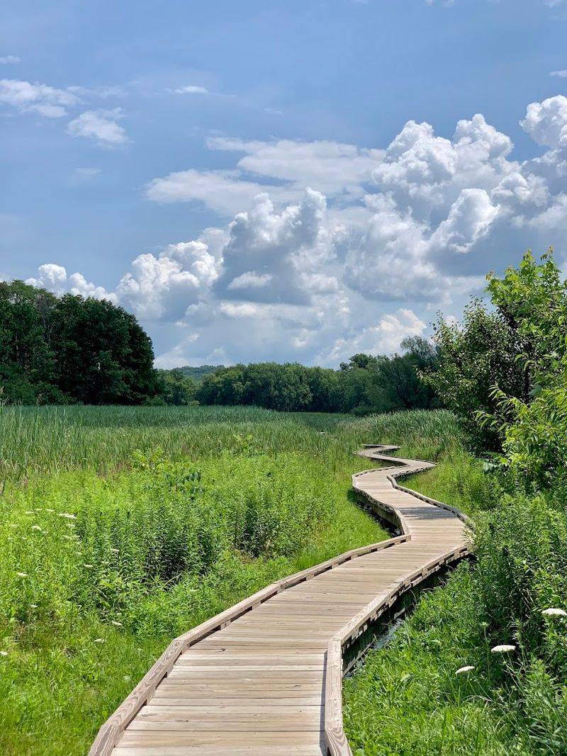 Appalachian Trail Boardwalk at Pochuck Valley