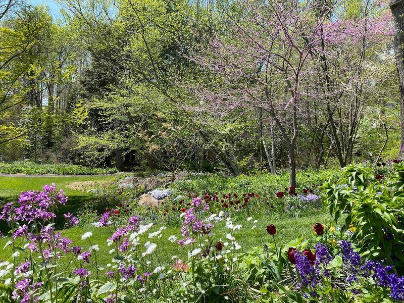 Asian Woods Brings A Quieter Kind Of Magic