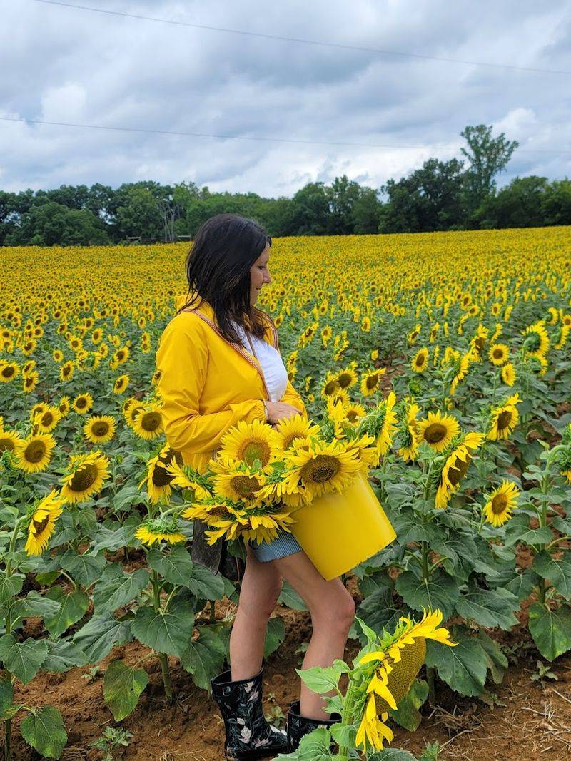 Aubie Smith Farms — Ooltewah