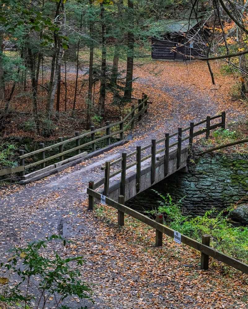 Autumn Colors That Feel Almost Too Beautiful To Be Real Autumn Colors That Feel Almost Too Beautiful To Be Real
