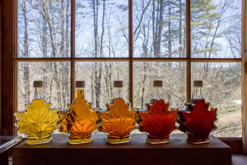 Baer Bros Maple Camp (Friedens, PA)