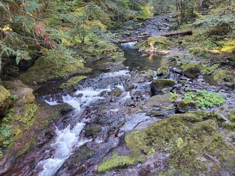 Bagby Hot Springs