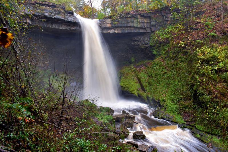 Bahar Preserve And Carpenter’s Falls