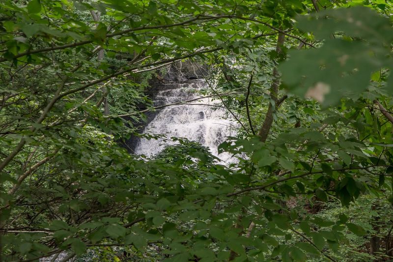 Bass Lake Falls