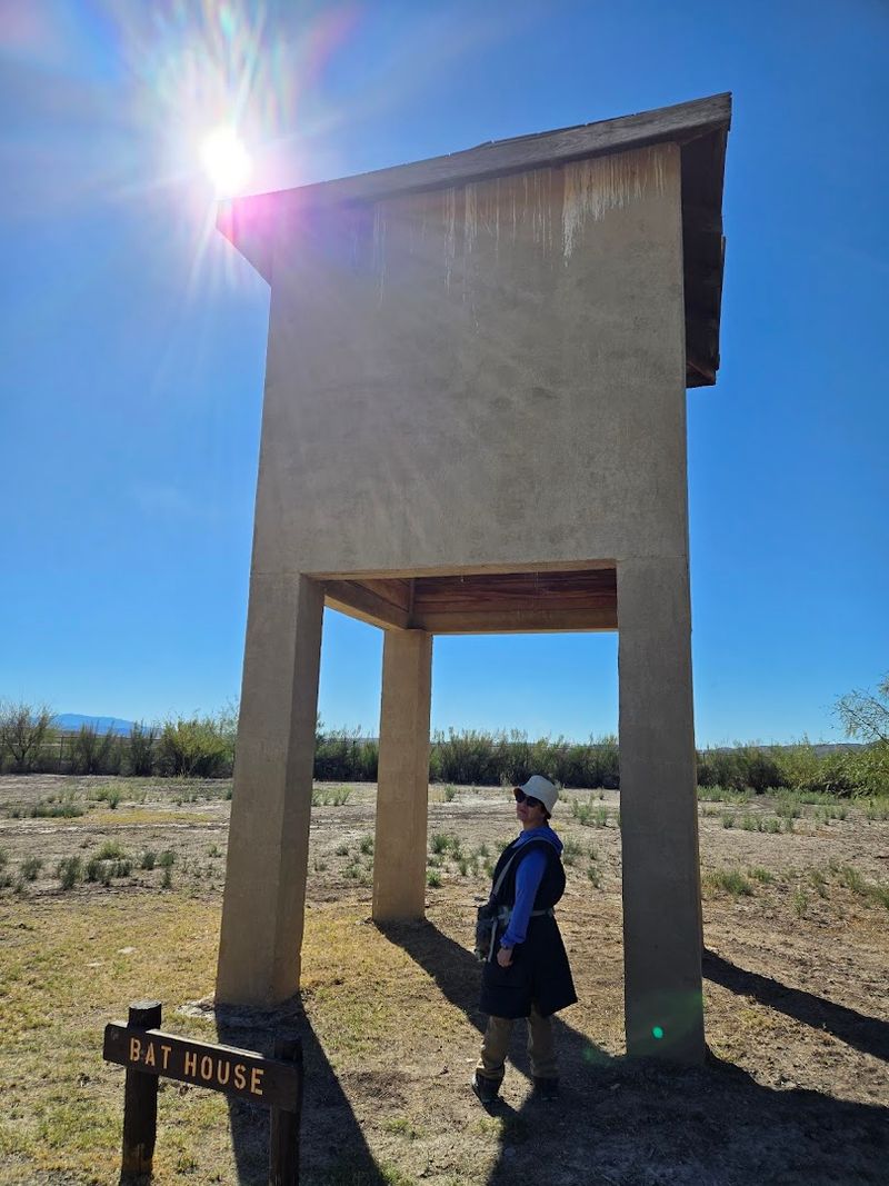 Bat House and Wildlife Viewing Opportunities