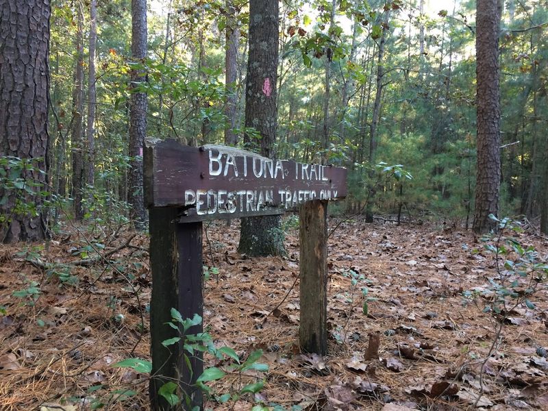 Batona Trail, Pinelands