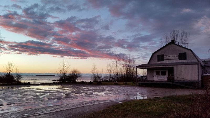 Bay Port Fish Company, Bay Port