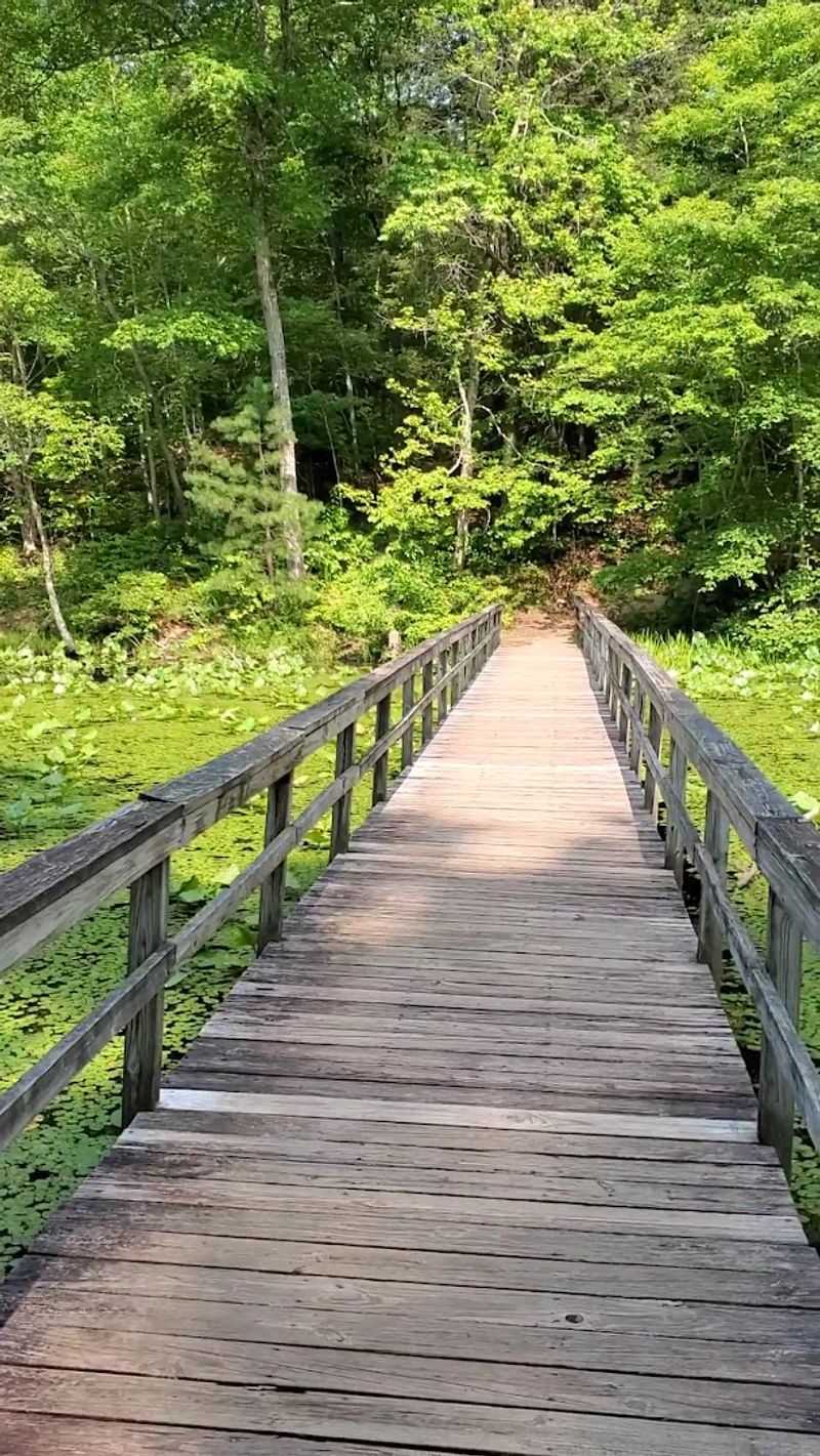 Bays Mountain Park Trails — Kingsport