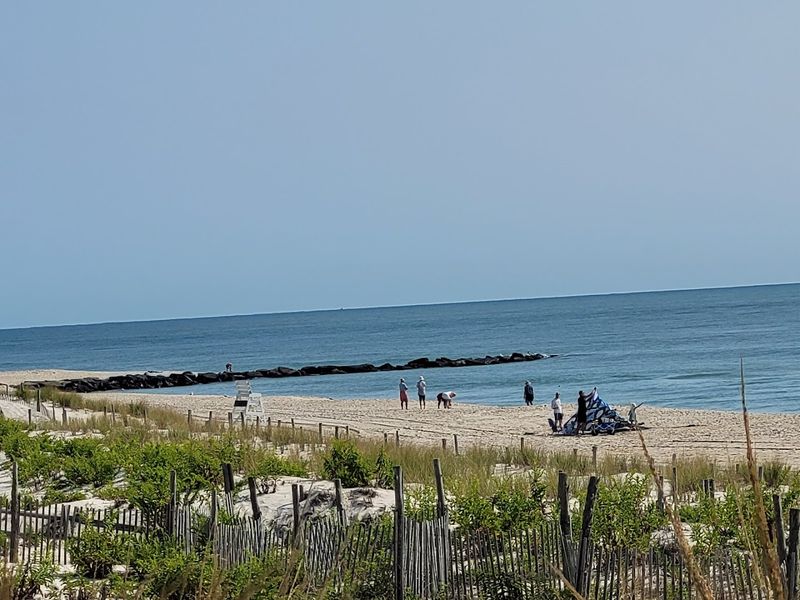 Beach Haven