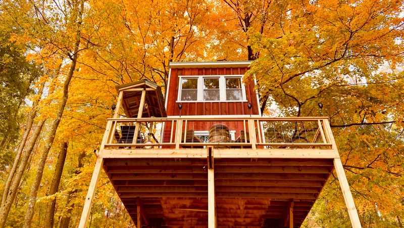 Bear Back Brooke Treehouse Bear Back Brooke Treehouse