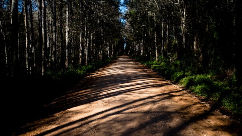 Bear Creek Swamp (Prattville)